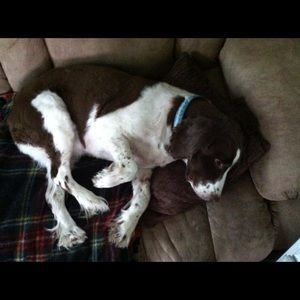 Meet your Posher, April